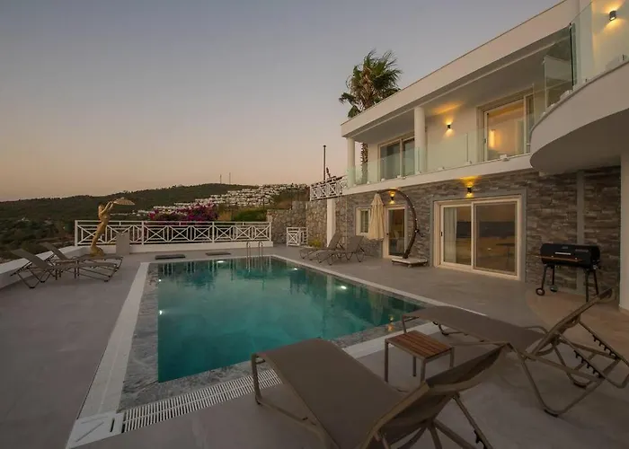 Front Super Vılla Boss 1 Villa