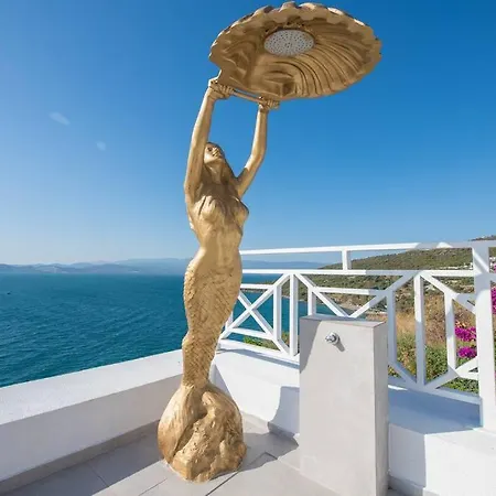 Вилла Front Super Boss 1