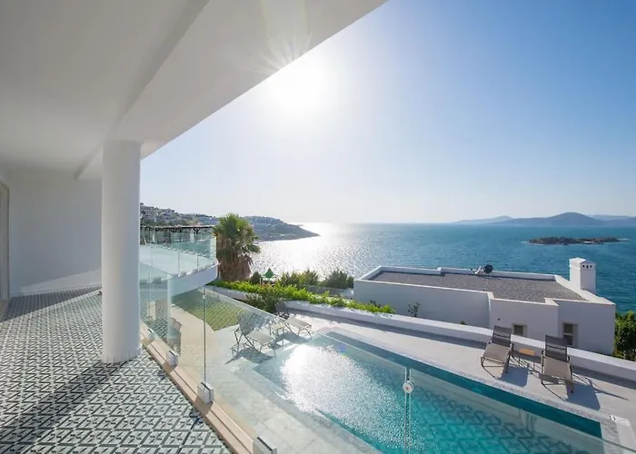 Front Super Vılla Boss 1 *